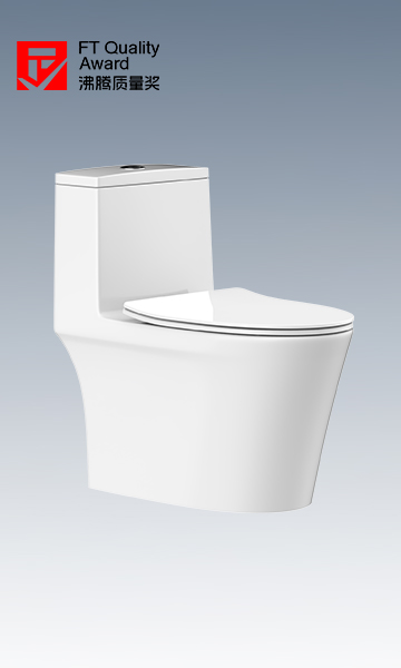 HC0905DT D5超旋风座便器